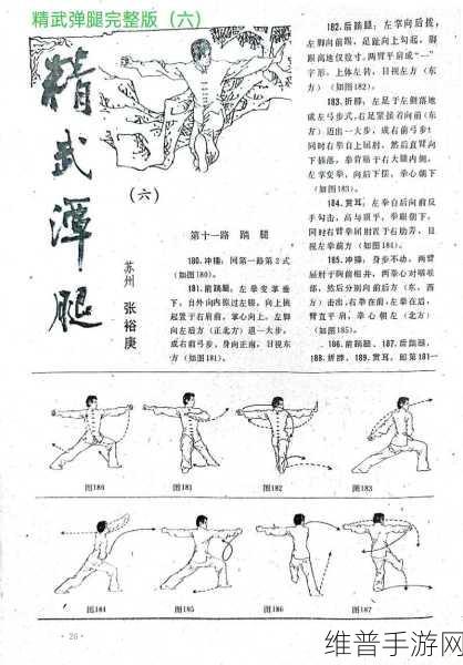胡桃部下腿法娴熟:精通胡桃部下腿法,提升技艺与战斗力的秘诀