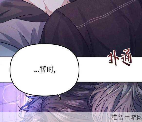 几个alpha共享omega车：1. ＂探索Alpha共享Omega车的新时代出行体验