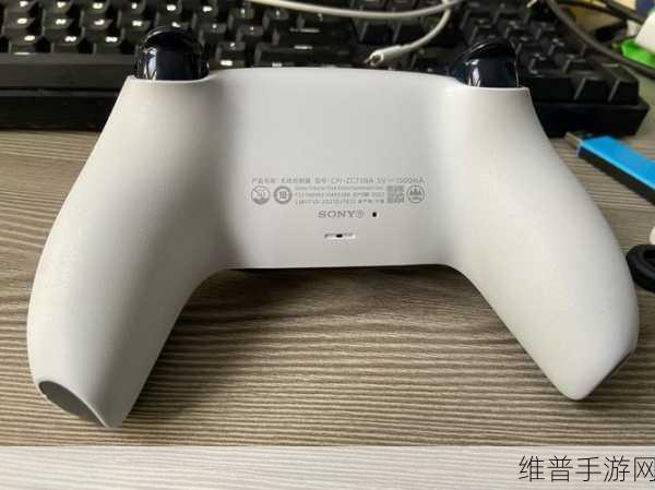 ps6手柄：全新体验：PS6手柄的多功能扩展与使用技巧
