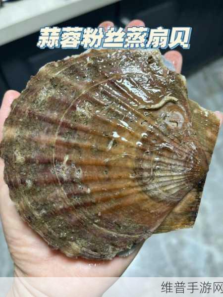 扇贝想吃香肠喝热牛奶：扇贝的奇妙食欲：香肠与热牛奶的新搭配探秘