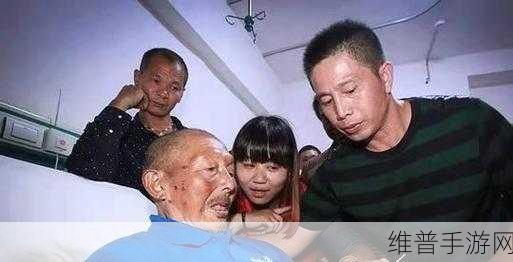 儿子替父耕亩田：儿子接过父亲的重担，奋勇耕作共创未来