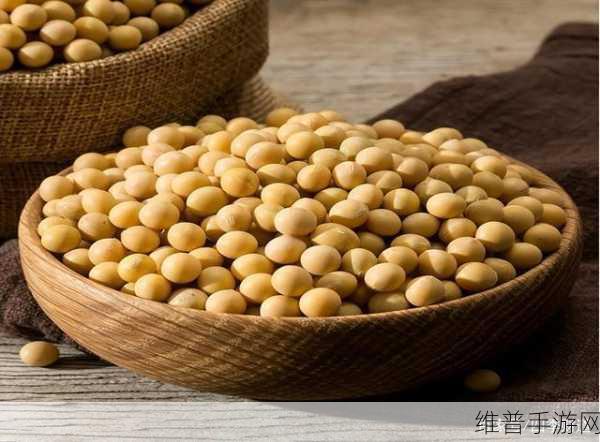 51大豆行情网仙林踪2023功能:拓展51大豆行情网仙林踪2023,提升市场分析与交易决策功能。