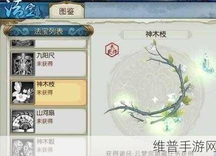 诛仙手游云梦川隐藏任务钓鱼全攻略，解锁神秘奖励的秘诀