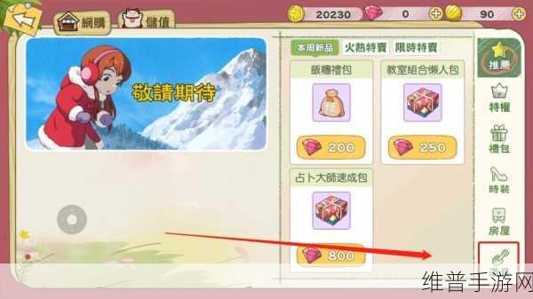小森生活手游攻略，全面解析亲密度提高方法