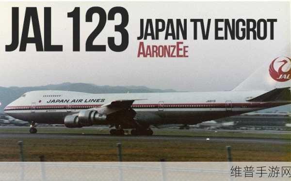 日本不卡的123：探索日本文化之旅：从古典到现代的123精彩瞬间