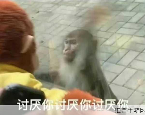 黑料吃瓜日逼流出：探讨黑料背后的真相，揭秘吃瓜群众的日常心理