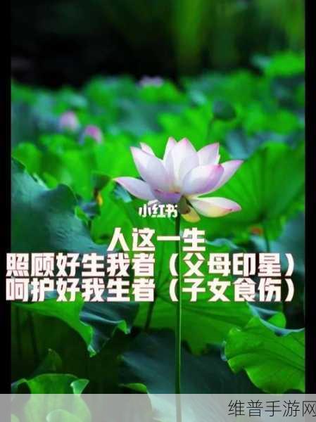 生孩子不盖被子：温暖呵护下的生命奇迹：生孩子不盖被子的真谛
