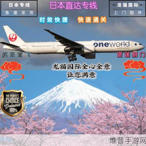 日本FBA专线双清的优势：高效物流与双清服务，助力日本FBA专线畅通无阻