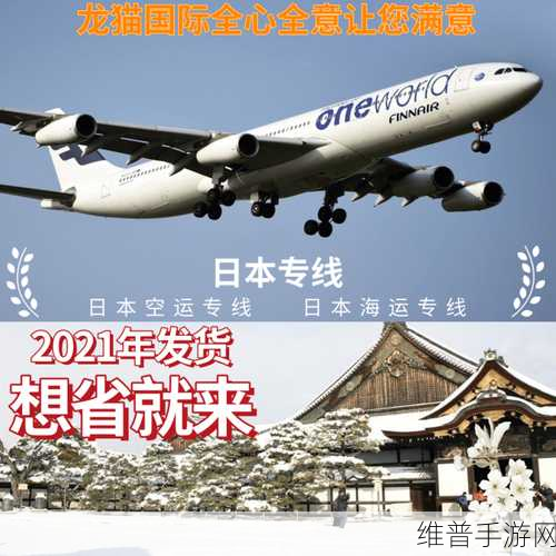 日本FBA专线双清的优势：高效物流与双清服务，助力日本FBA专线畅通无阻