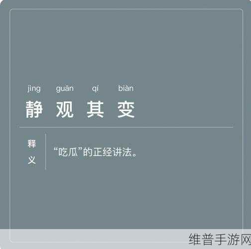 静观其变的生肖最佳答案：静观其变：生肖运势与人生智慧的深度解析