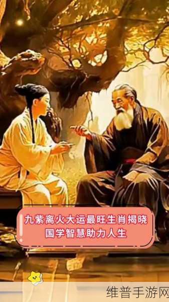 静观其变的生肖最佳答案：静观其变：生肖运势与人生智慧的深度解析
