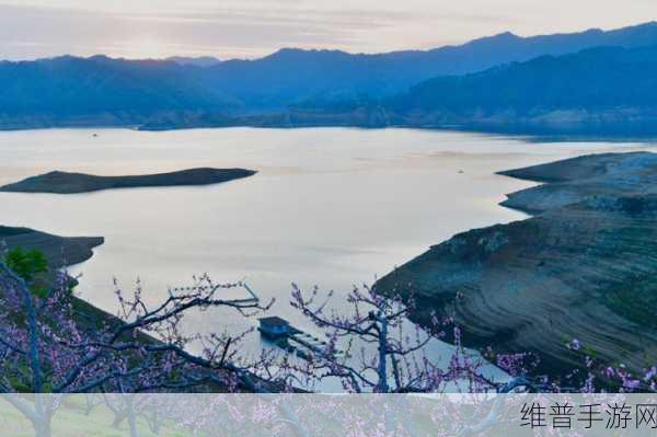 桃花岛cm7：探索桃花岛的魅力与秘境：CM7全新篇章开启！