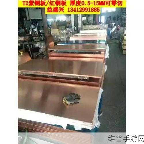 铜铜铜铜铜铜好大深色板的功能与主治：拓展铜板的多功能应用及其主要疗效分析