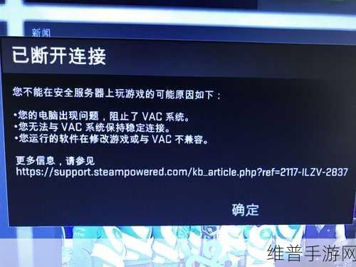 vac无法验证你的游戏会话：扩展VAC无法验证你的游戏会话，可能是因为网络问题或文件损坏。