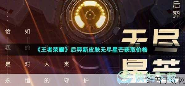 王者荣耀后羿无尽星芒皮肤价格全解析