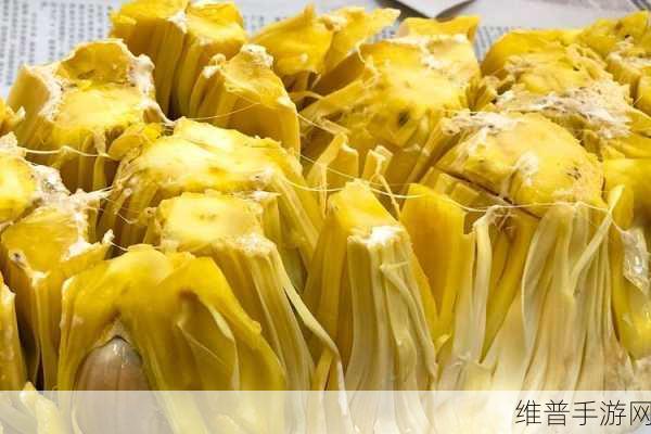 菠萝蜜无码视频在线播放：探索菠萝蜜的无尽魅力与美味诱惑，畅享无限乐趣！