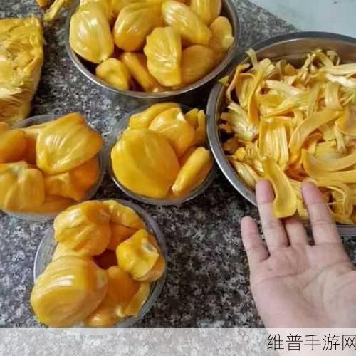 菠萝蜜无码视频在线播放：探索菠萝蜜的无尽魅力与美味诱惑，畅享无限乐趣！