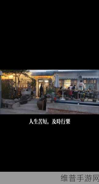 及时行乐1v2：享受当下，快乐生活：及时行乐的新解读与启示