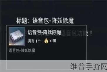 和平精英语音包全攻略，获取与装备方法详解