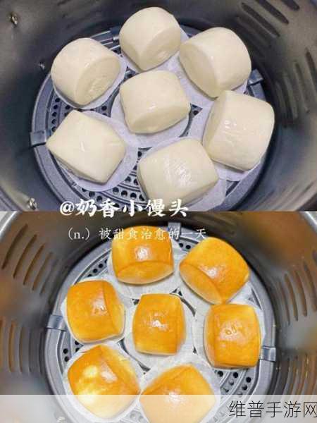 从袖口里看见六年级的小馒头：透过袖口窥见六年级的小馒头的成长与梦想