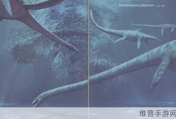 ff14大鳍龙：FF14大鳍龙：探索神秘海域的冒险之旅