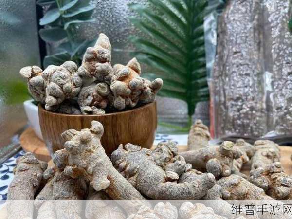 三七大但人文艺术免费任：三七大：人文艺术的免费共享与创新之旅