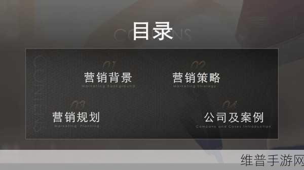 b站推广网站2024mmm：2024年B站推广网站全新策略与实用技巧分享