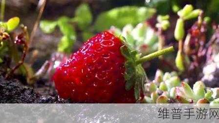 182草莓视频：182草莓视频：畅享新鲜视听盛宴，尽情探索无限可能！