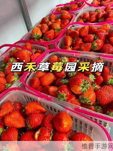 草莓 APP：草莓拓展助手：提升您的生活品质与乐趣体验！
