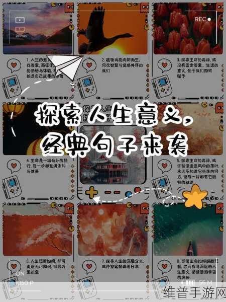焕儿：焕儿的成长之路：探索自我与世界的奇妙旅程