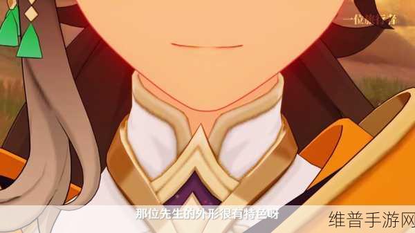 原神手游深度攻略，揭秘那位先生的计划任务全解析