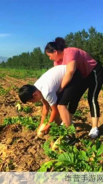 两个人如何拔萝卜生孩子软件户外：两人携手拔萝卜，户外生孩子的新奇体验