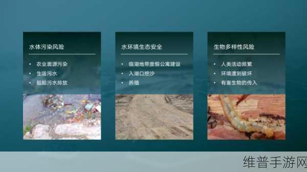 成品源：提升产品多样性，拓展市场源泉与机会