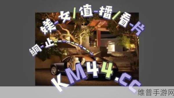 半夜十大黄台：黄台之夜：探索午夜魅力的十大去处与活动