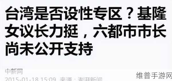 麻花豆传媒一二三产区观众群分析：深入分析麻花豆传媒一二三产区的观众群体特征与发展潜力
