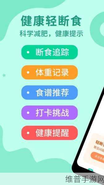 国产vpswindows精品：全面提升国产VPS Windows服务，打造优质精品体验