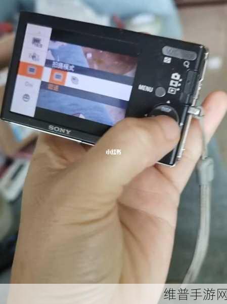 索尼w190像素多少:索尼W190相机的像素配置及其拍摄效果分析