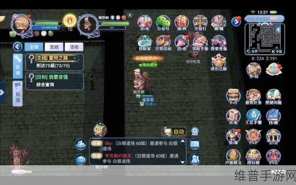 仙境传说RO手游刺客玩法全解析,爆刺加点攻略