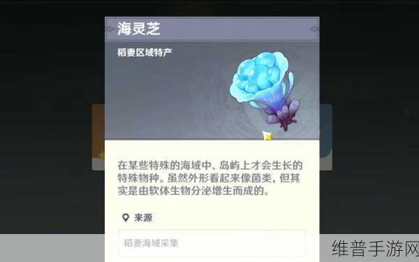 原神探秘海灵芝之源，玩家必备的珍稀资源寻找手册