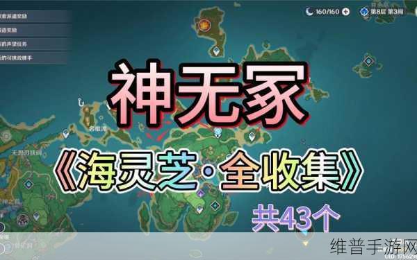 原神探秘海灵芝之源，玩家必备的珍稀资源寻找手册
