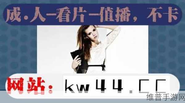 不良网站进入窗口免费：免费获取拓展不良网站的入口和使用方法揭秘