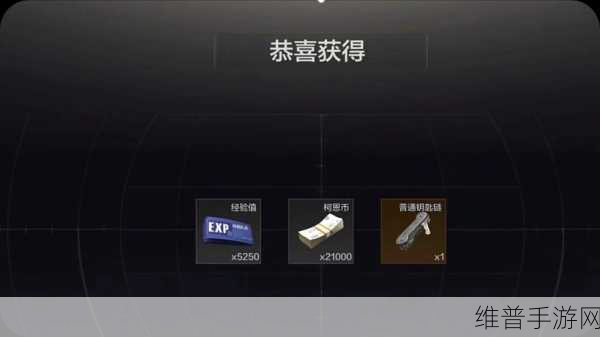 暗区突围钥匙获取秘籍，高效收集指南
