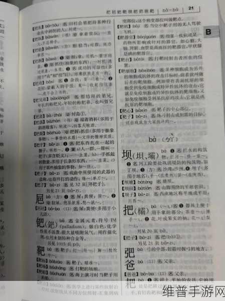 现代汉语词典为什么收费：拓展现代汉语词典收费原因与价值分析