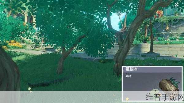 原神证悟木高效采集路线全攻略，解锁采集效率的终极秘笈