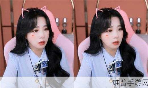 仙踪林company limited最新版本：拓展仙踪林公司有限公司 最新版：探索自然之美与奇幻体验的完美结合