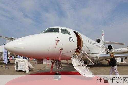 成年人视频8X海外：探索全球成人视频平台8X的魅力与机遇解析