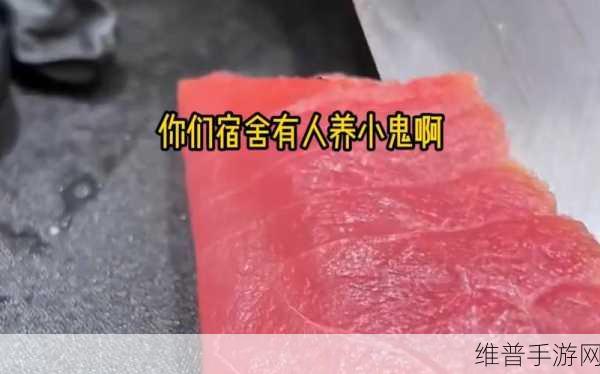 杨幂养的小鬼已投胎为：杨幂所养小鬼转世重生，再续前缘的新篇章