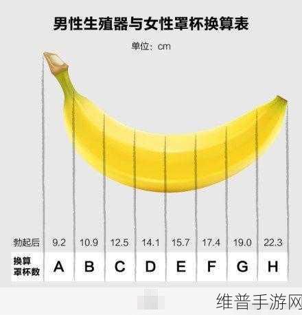 多少厘米可以让女孩子哭：如何让女孩因拓展而感动到流泪的秘密