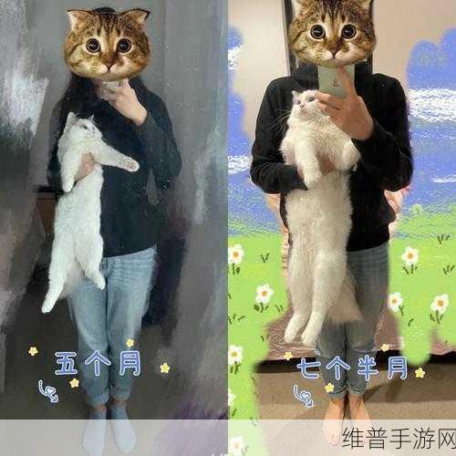 51吃瓜网热心北京朝阳群众：热心北京朝阳群众积极参与51吃瓜网，助力社区和谐！