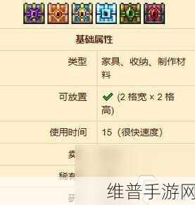 泰拉瑞亚探险指南，深入丛林，揭秘位置与生物群落